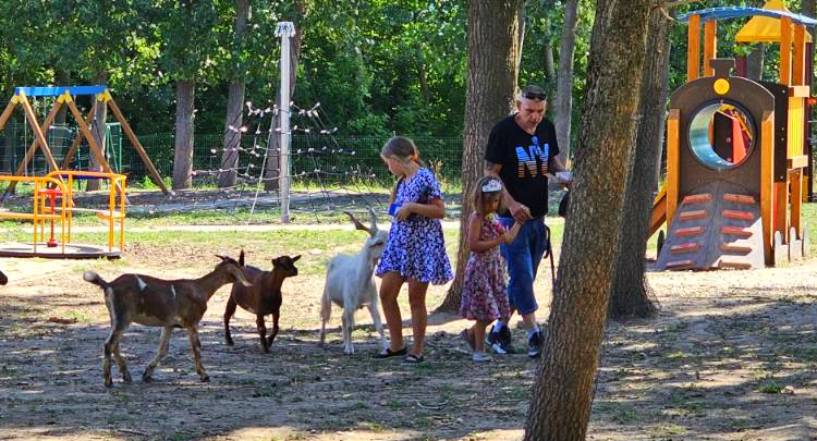 kecskekida jatszoter